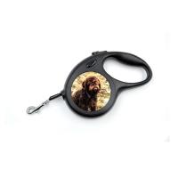 Extendable dog leash