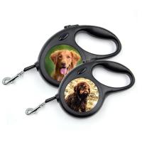 Extendable dog leash