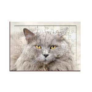 Puzzles de 48 piezas de madera con marco  (28,5 x 20 cm) 2