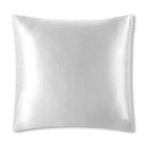 Housse de coussin (type de soie)