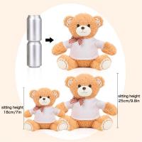 Teddy bear with t-shirt 18 cm