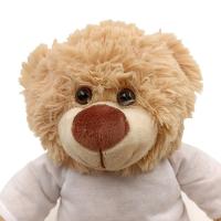 Teddy bear with t-shirt 25 cm