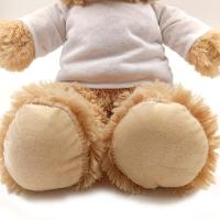 Teddy bear with t-shirt 25 cm