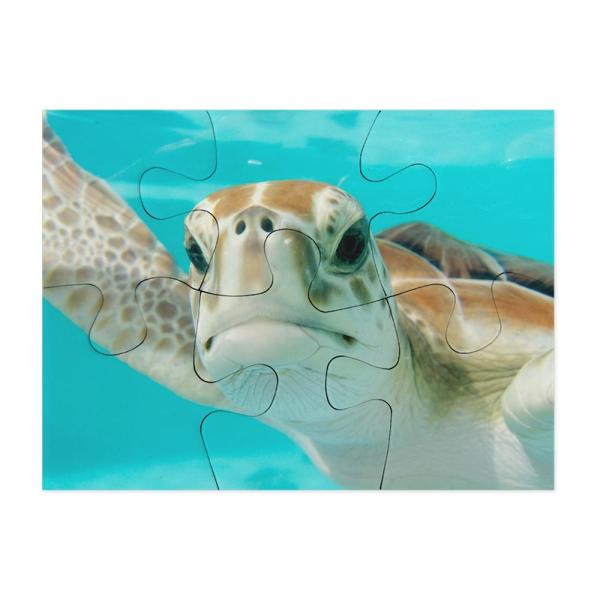 6 piece high quality Puzzle (8x6 cm) sublimated