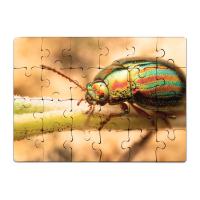 Puzzle 24 pièces haute qualité (8x6 cm) pièces