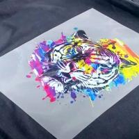 HQ DTF film in roll 90 cm x 100 m (instant peel)