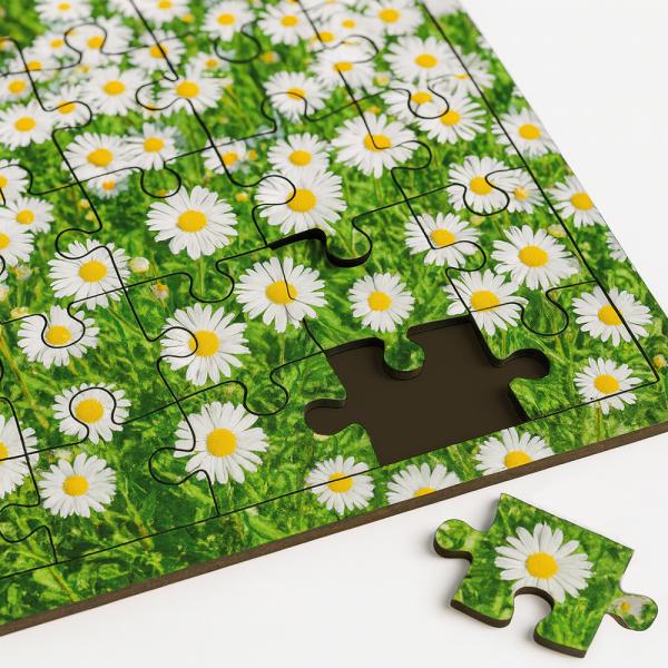 Puzzles 48 piezas de madera con marco (40x28,5 cm)