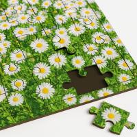 Puzzles 48 piezas de madera con marco (40x28,5 cm)