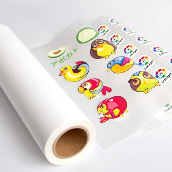 Rotolo di film DTF 35 cm x 50 m per produzioni di media scala