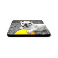 Aimants en bois de différentes formes