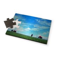 Puzzles de madera 12 Piezas (A5)