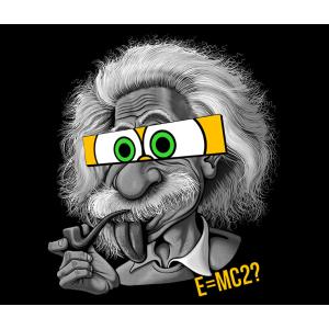 Textil transfer design Einsten