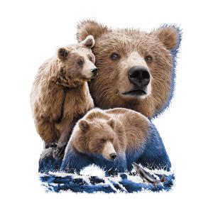 Transfer textil diseño Osos