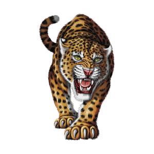 Transfer textil diseño Tigre