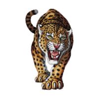 Transfer textil diseño Tigre