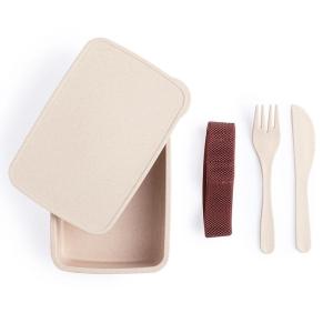 Lunch box with cutlery